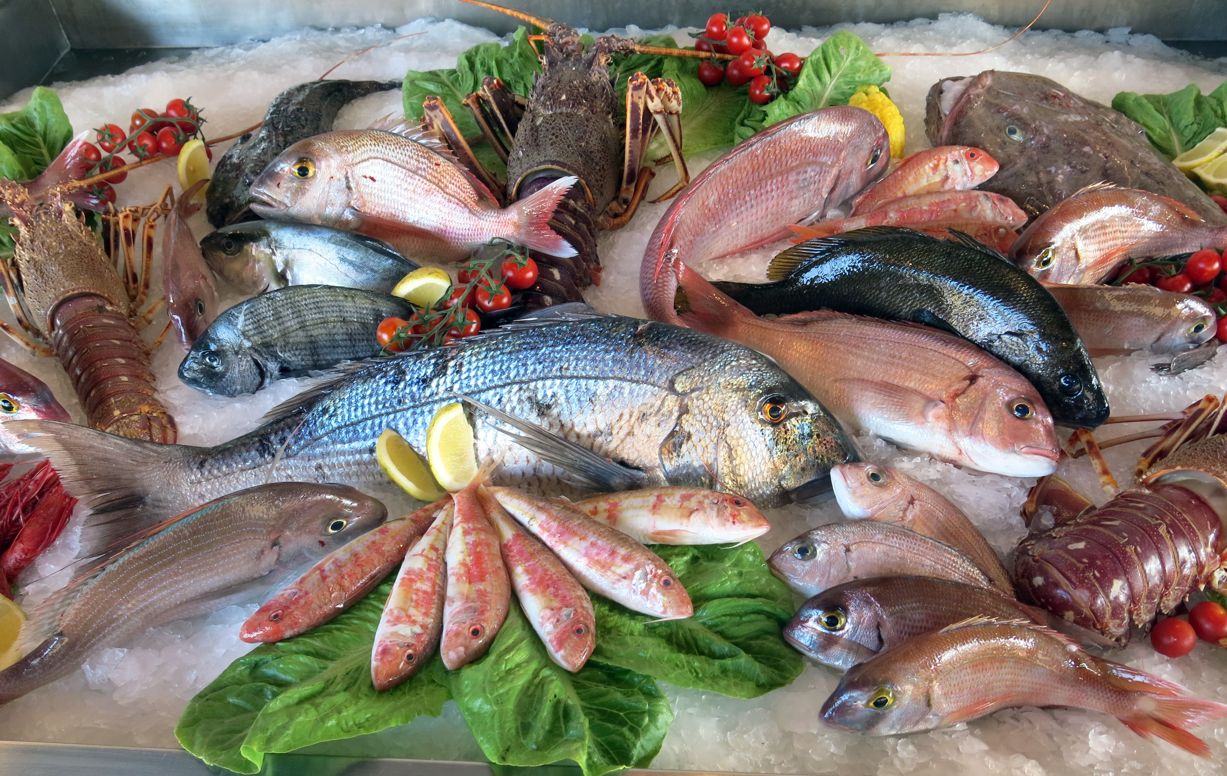 Fish product. Рыба и морепродукты. Рыба в ассортименте. Свежая рыба и морепродукты. Охлажденная рыба.