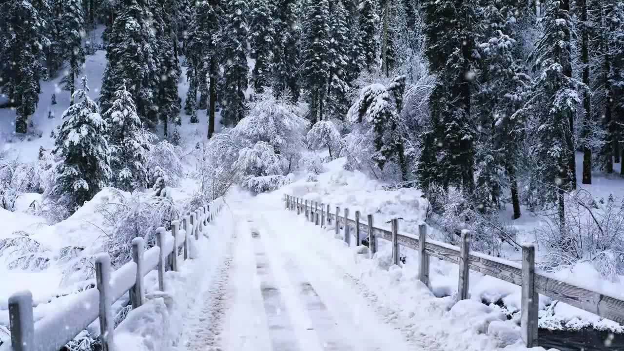 Сон машина в снегу