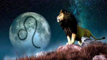 Лев — гороскоп совместимости знаков Зодиака