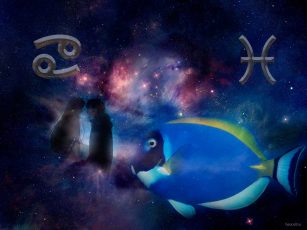 Рак и Рыбы Совместимость знаков Зодиака | Ребенок и родитель